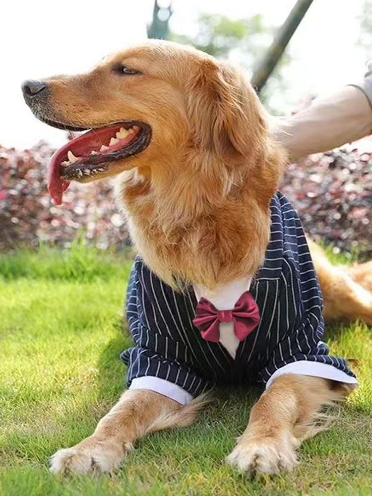 Formal Pet Tuxedo
