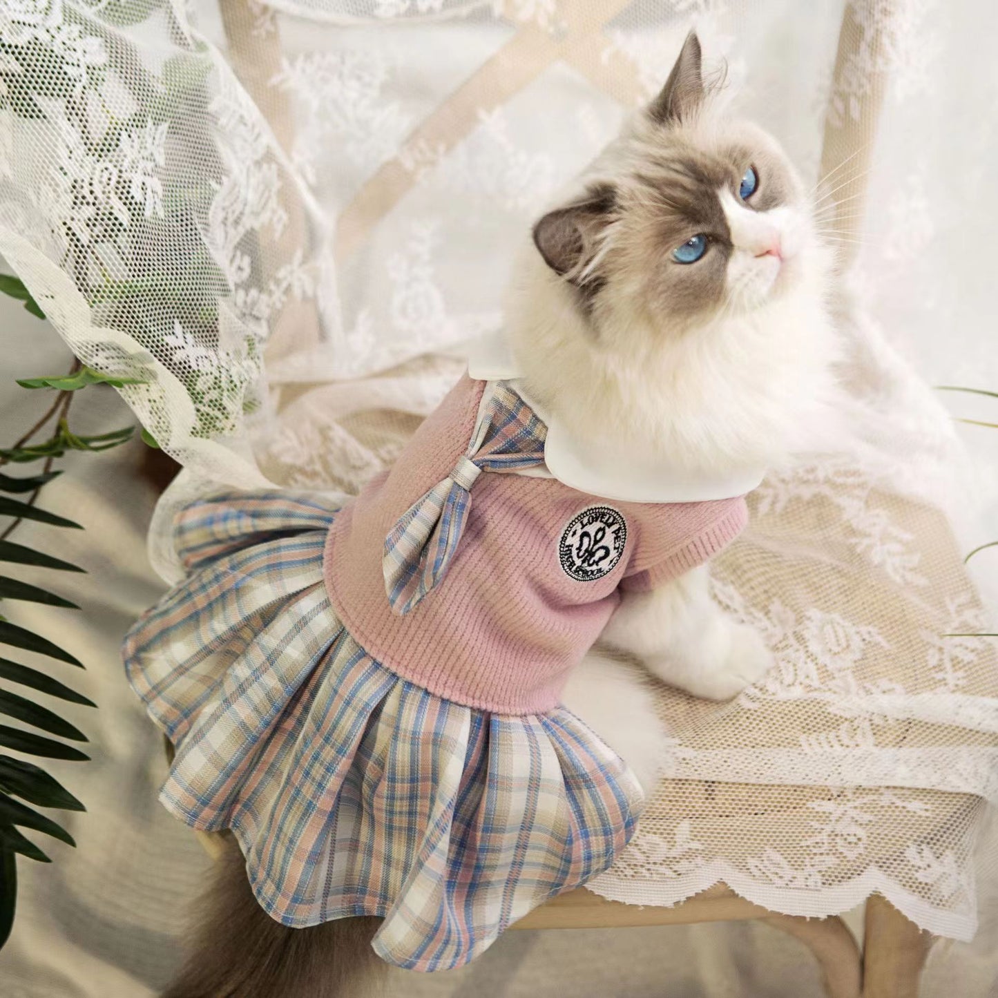 Plaid School Pet Dress