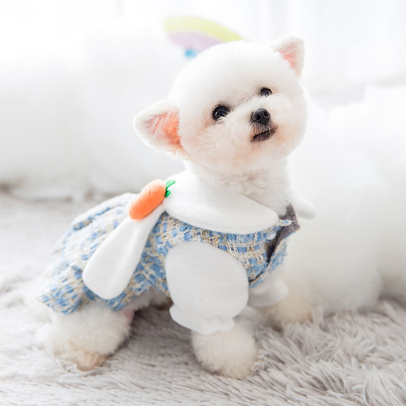 Chic Bunny Dress with Carrot Charm