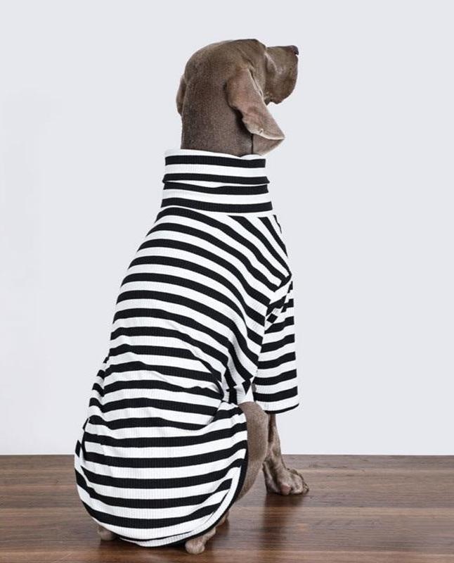 Classic Striped Dog Sweater