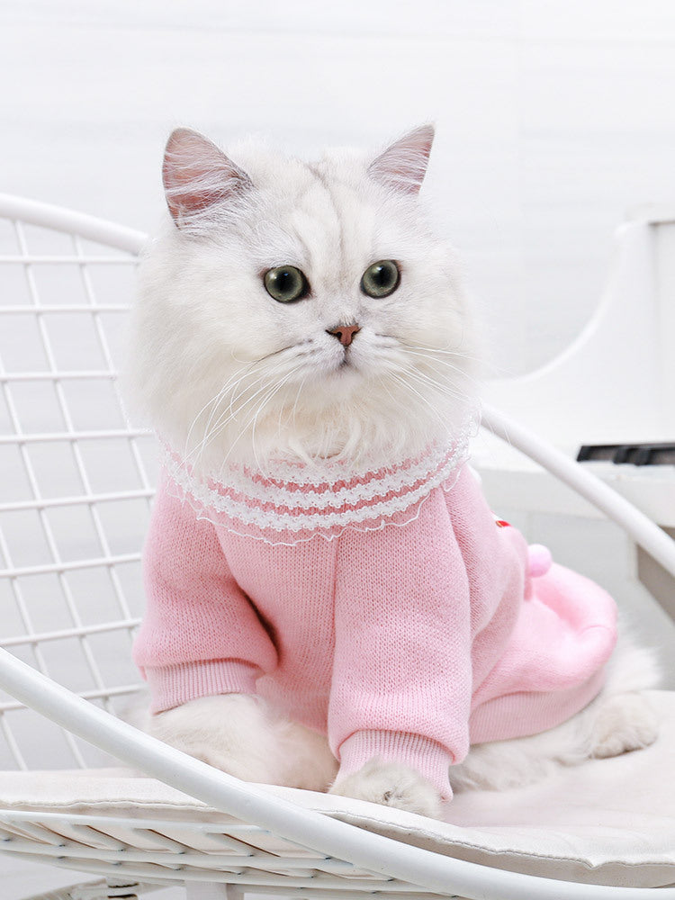 Popcorn Pink Pet Sweater