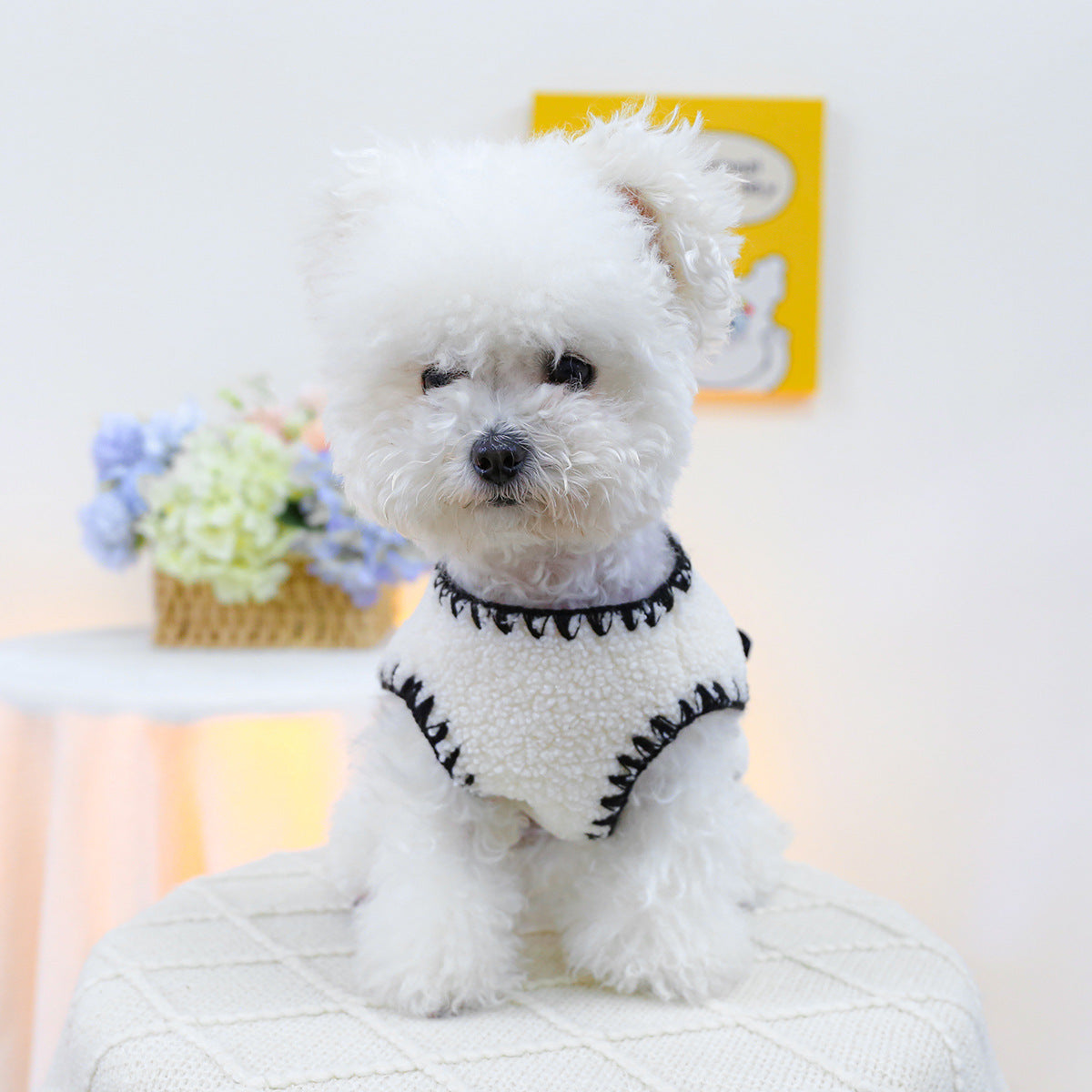 Bow-Trimmed Dog Vest