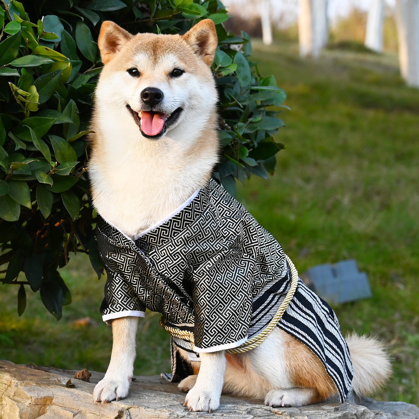 Regal Japanese Kimono
