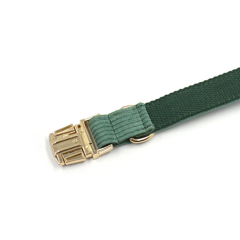 Green Dog Collar with Metal Buckle