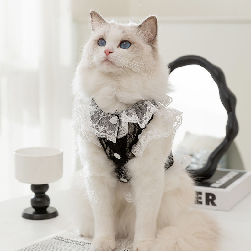 Victorian Lace Cat Harness