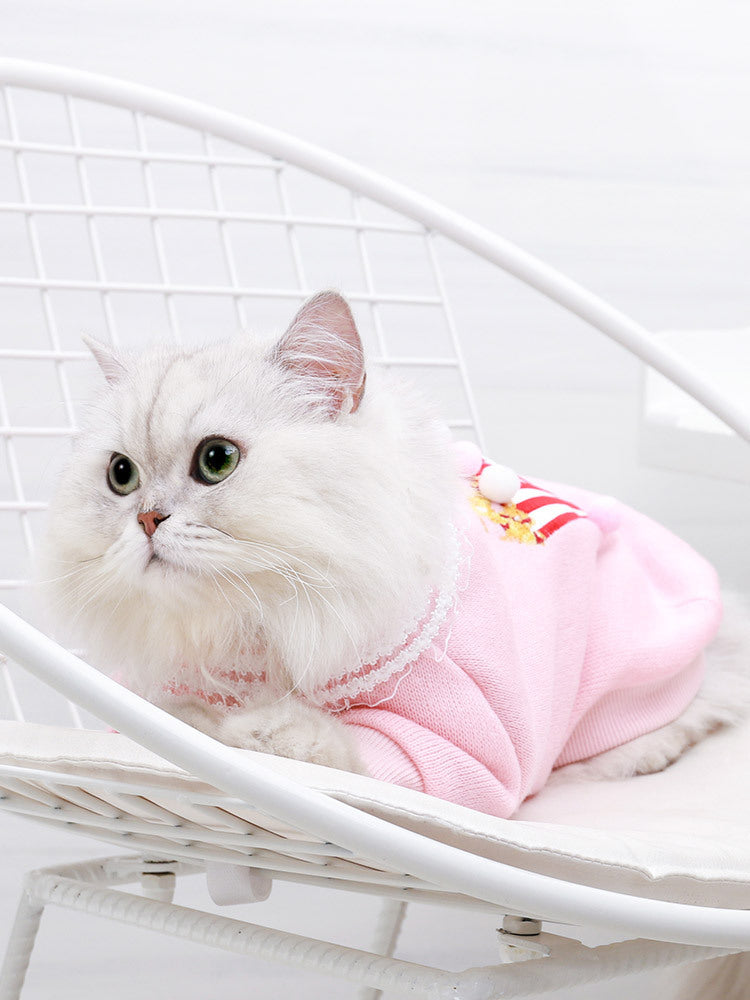 Popcorn Pink Pet Sweater