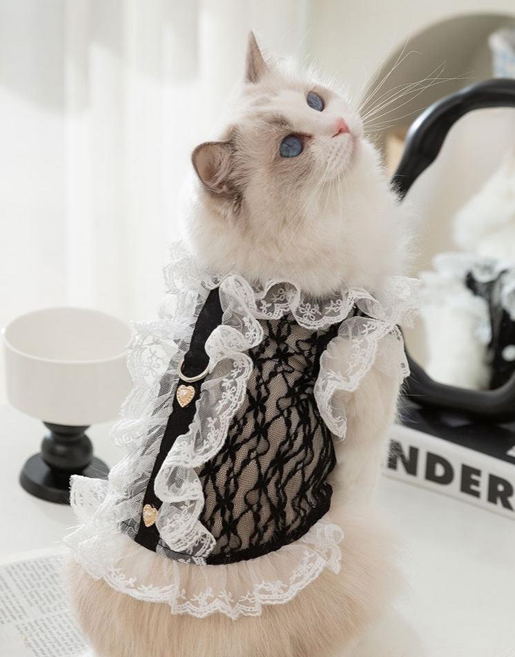 Victorian Lace Cat Harness