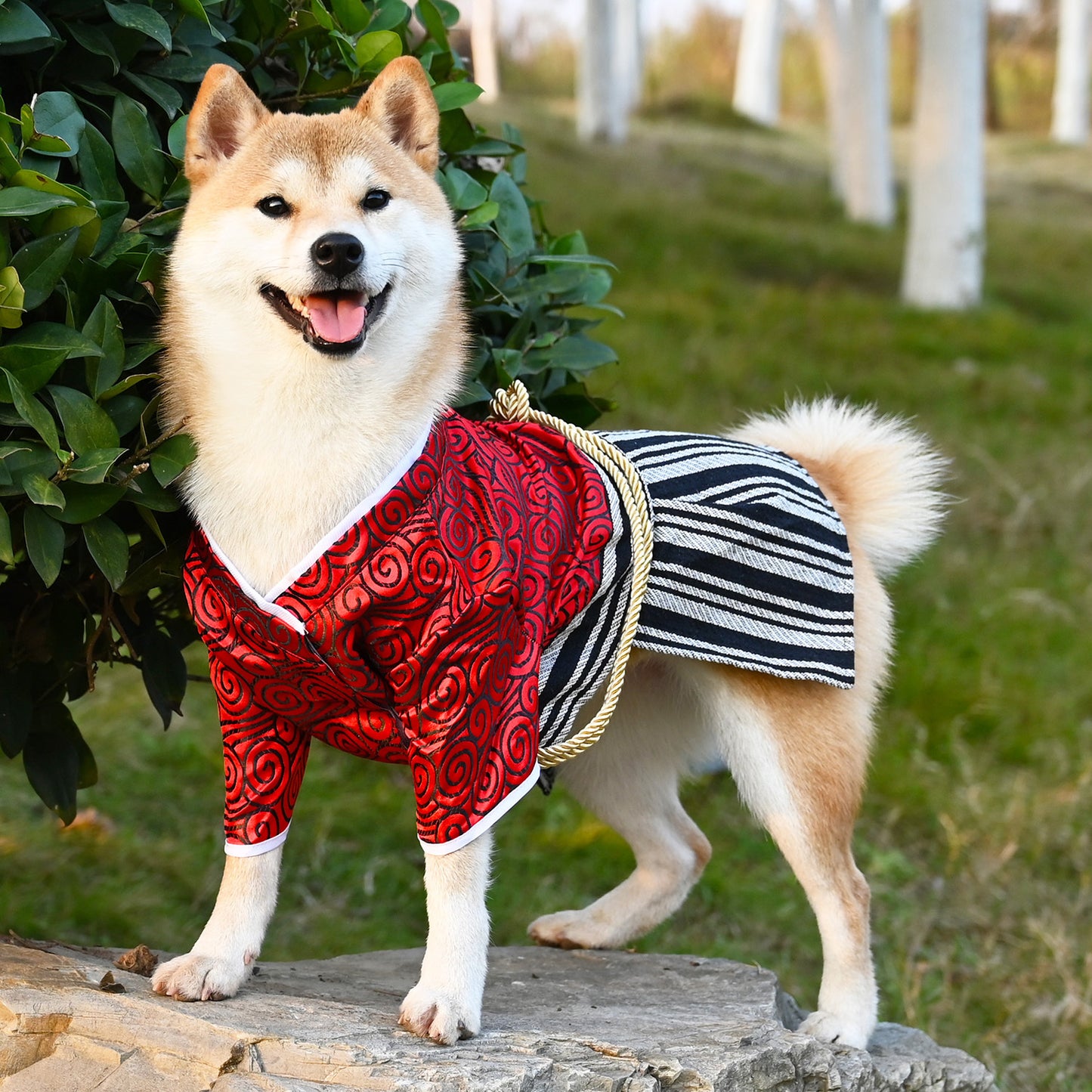 Regal Japanese Kimono
