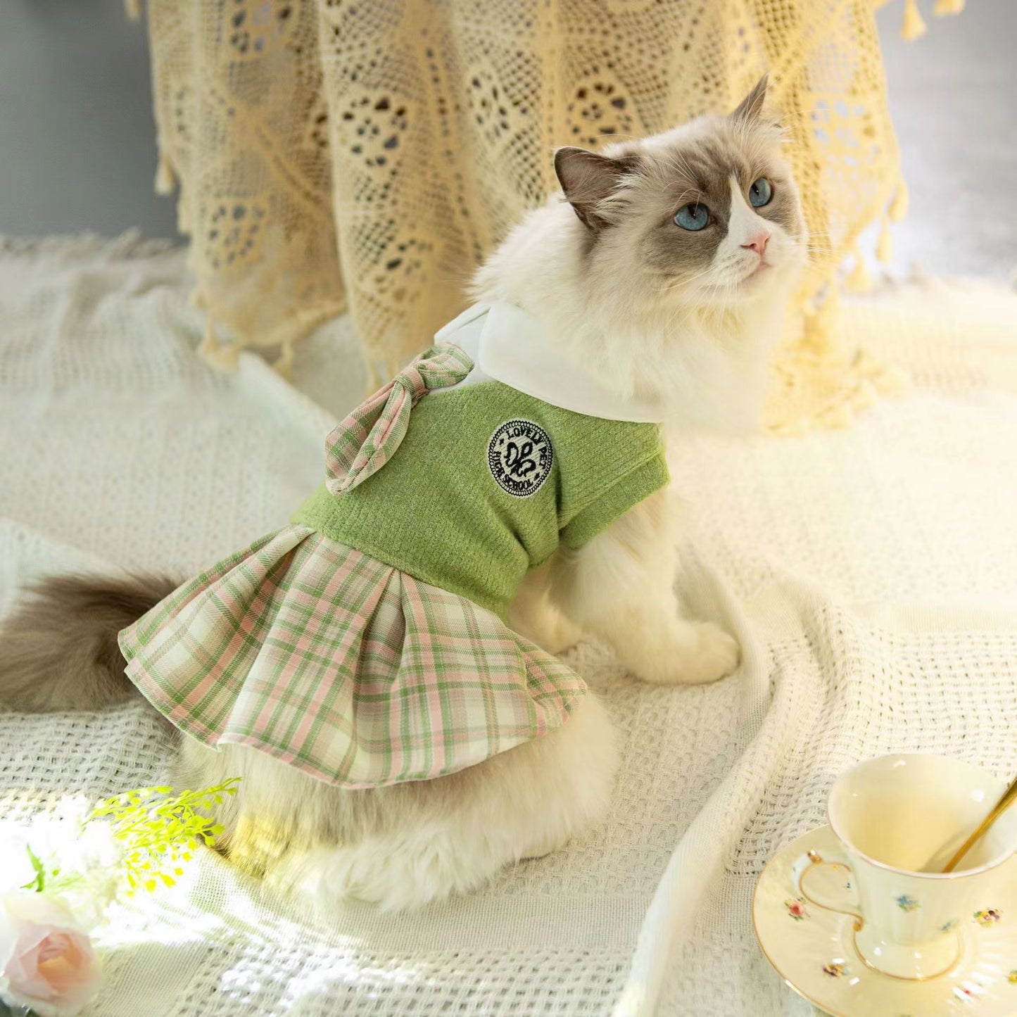Plaid School Pet Dress