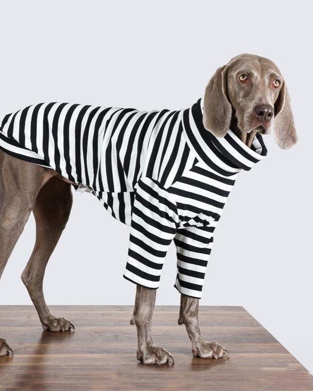 Classic Striped Dog Sweater