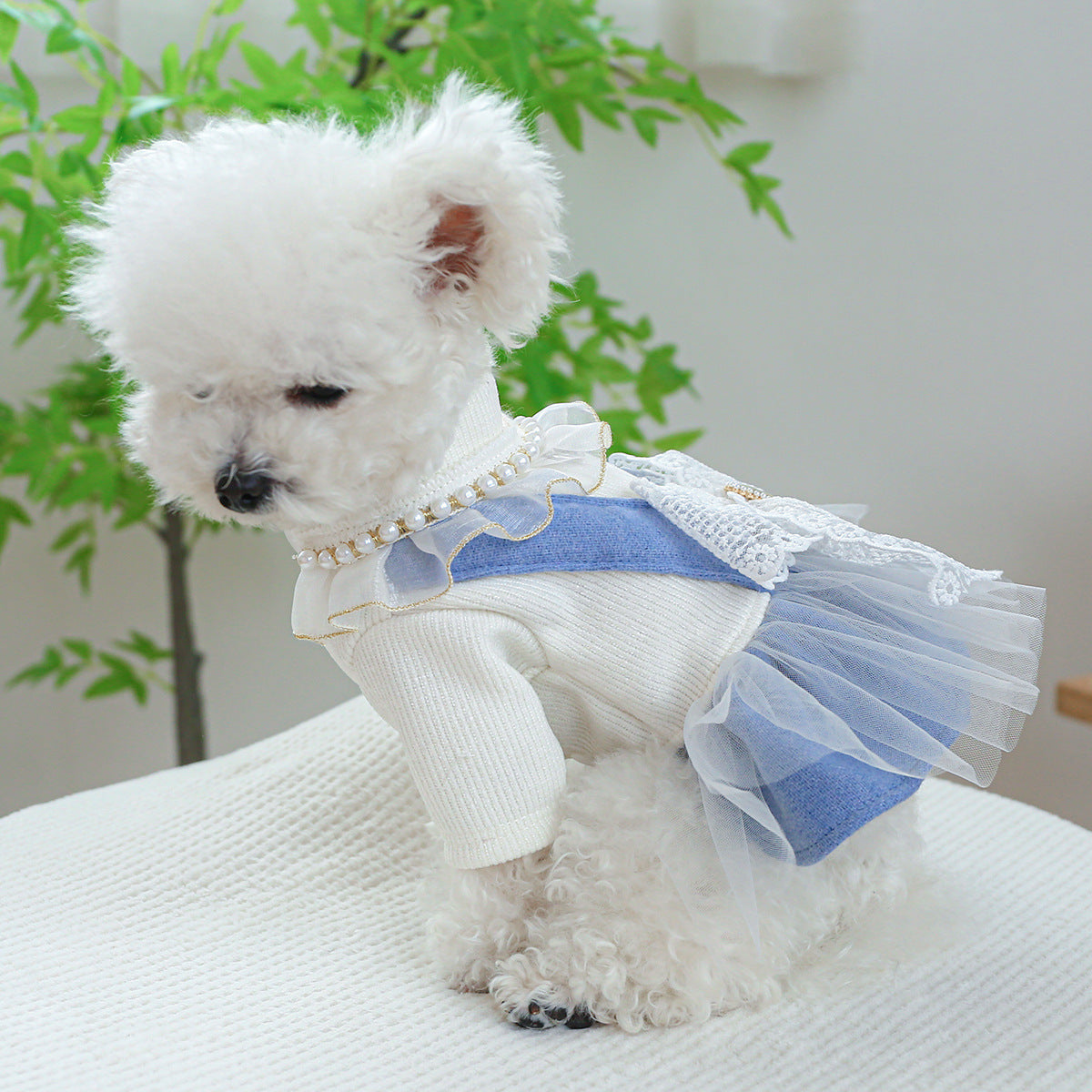 Complete Elegant Pearl & Lace Dog Outfit