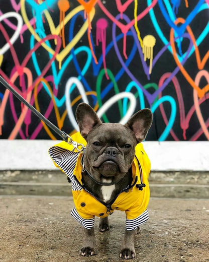 Yellow Raincoat with Hood