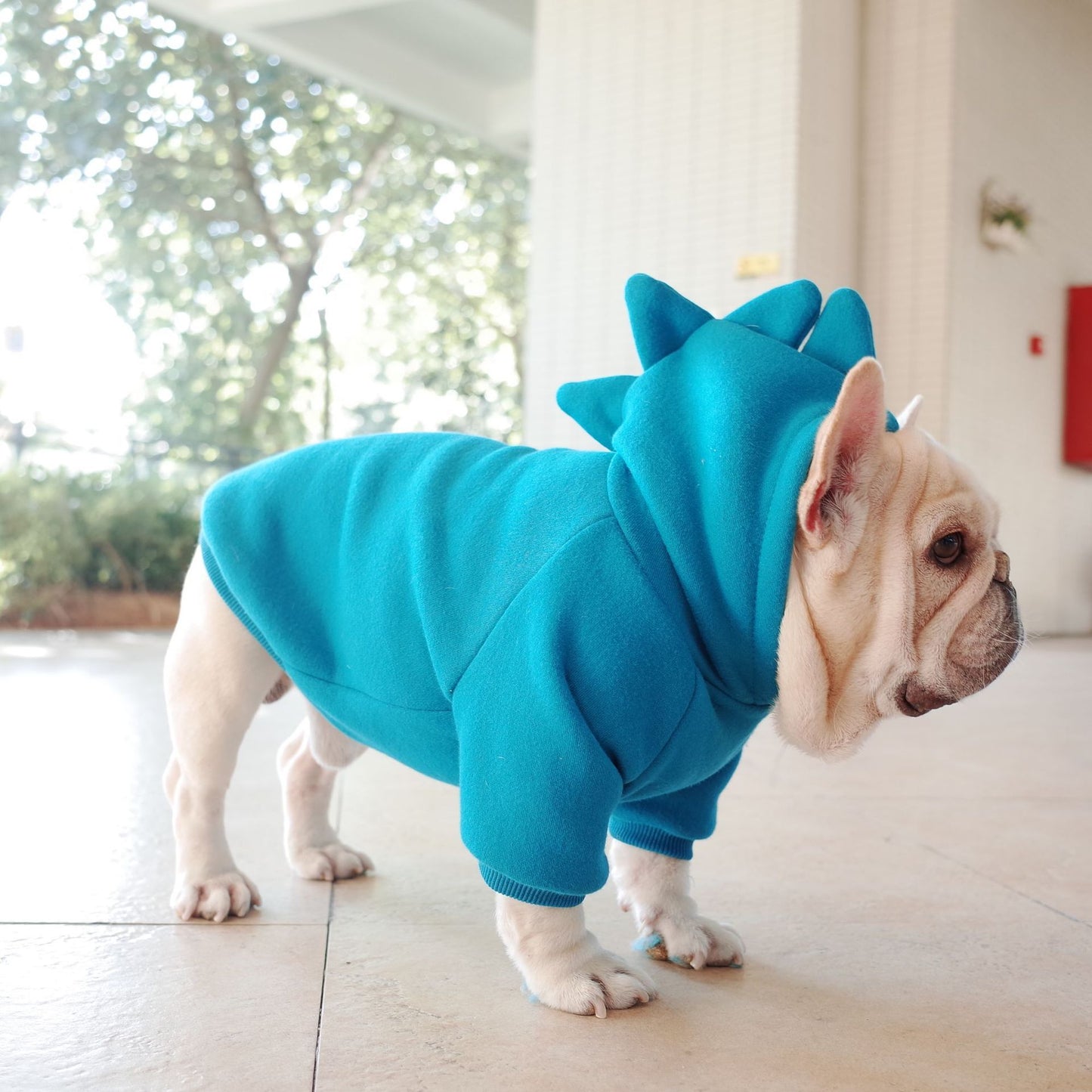 Dino Dog Hoodie