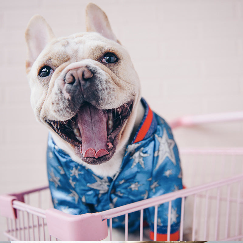 Starry Bomber Dog Jacket