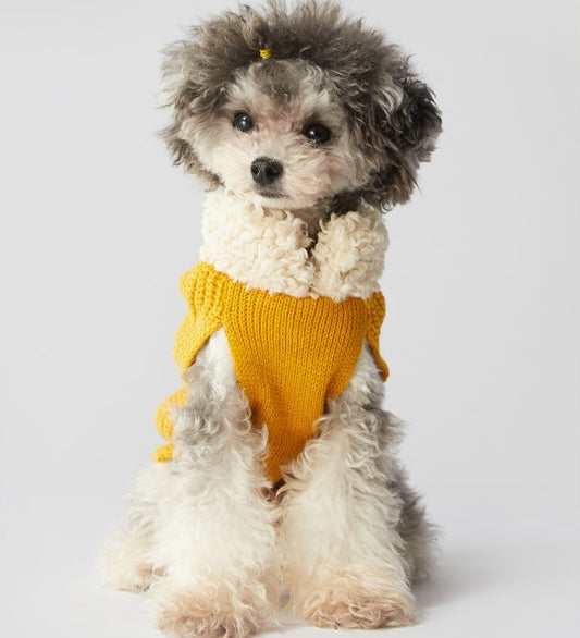 Cozy Knit Dog Sweater with Lace-Up Bow Detail