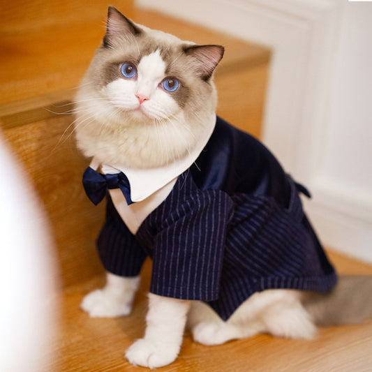 Elegant Cat Tuxedo Suit with Bow Tie