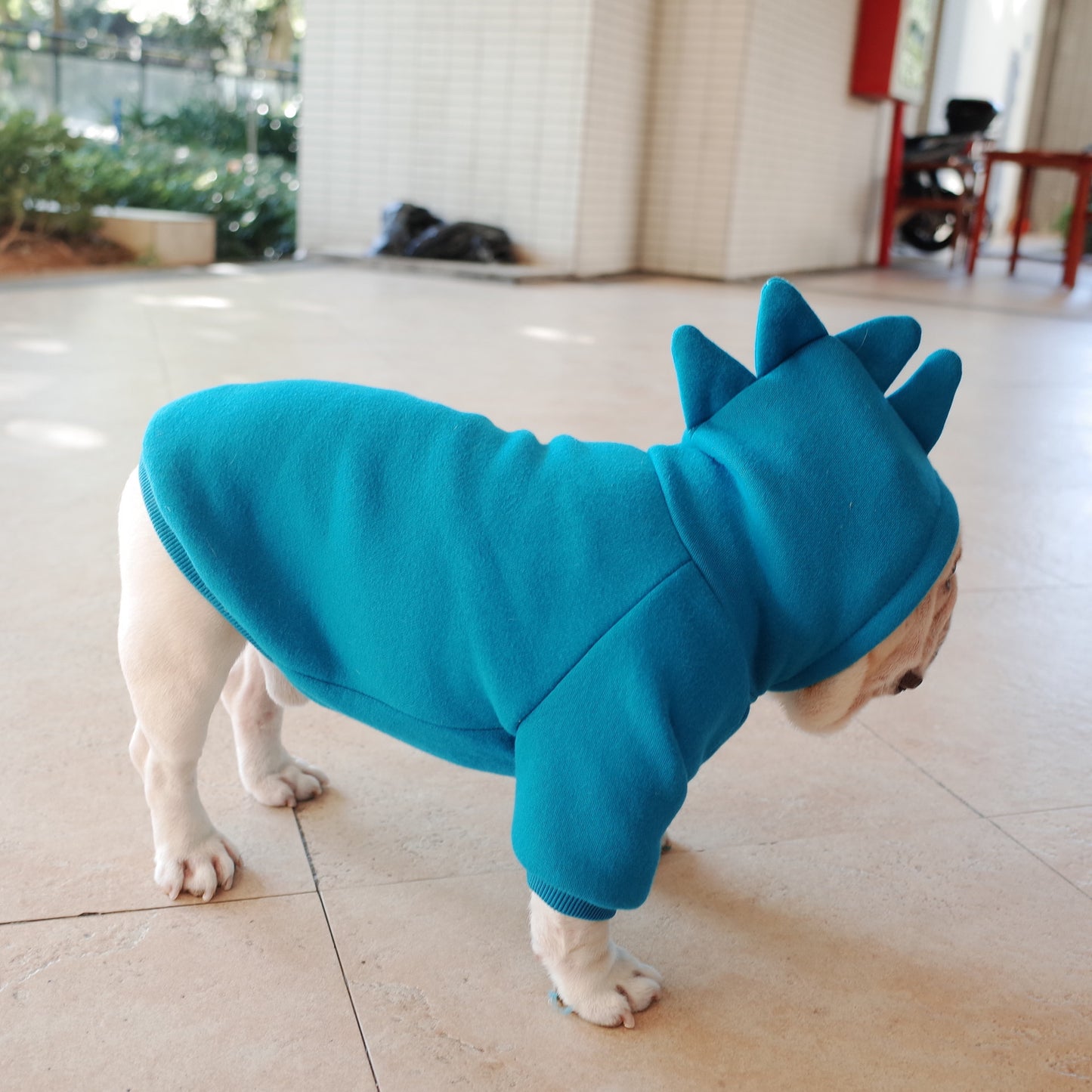 Dino Dog Hoodie