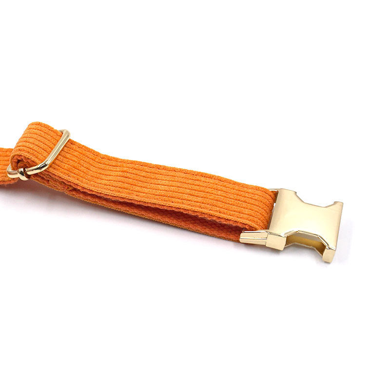 Adjustable Dog Collar with Metal Buckle