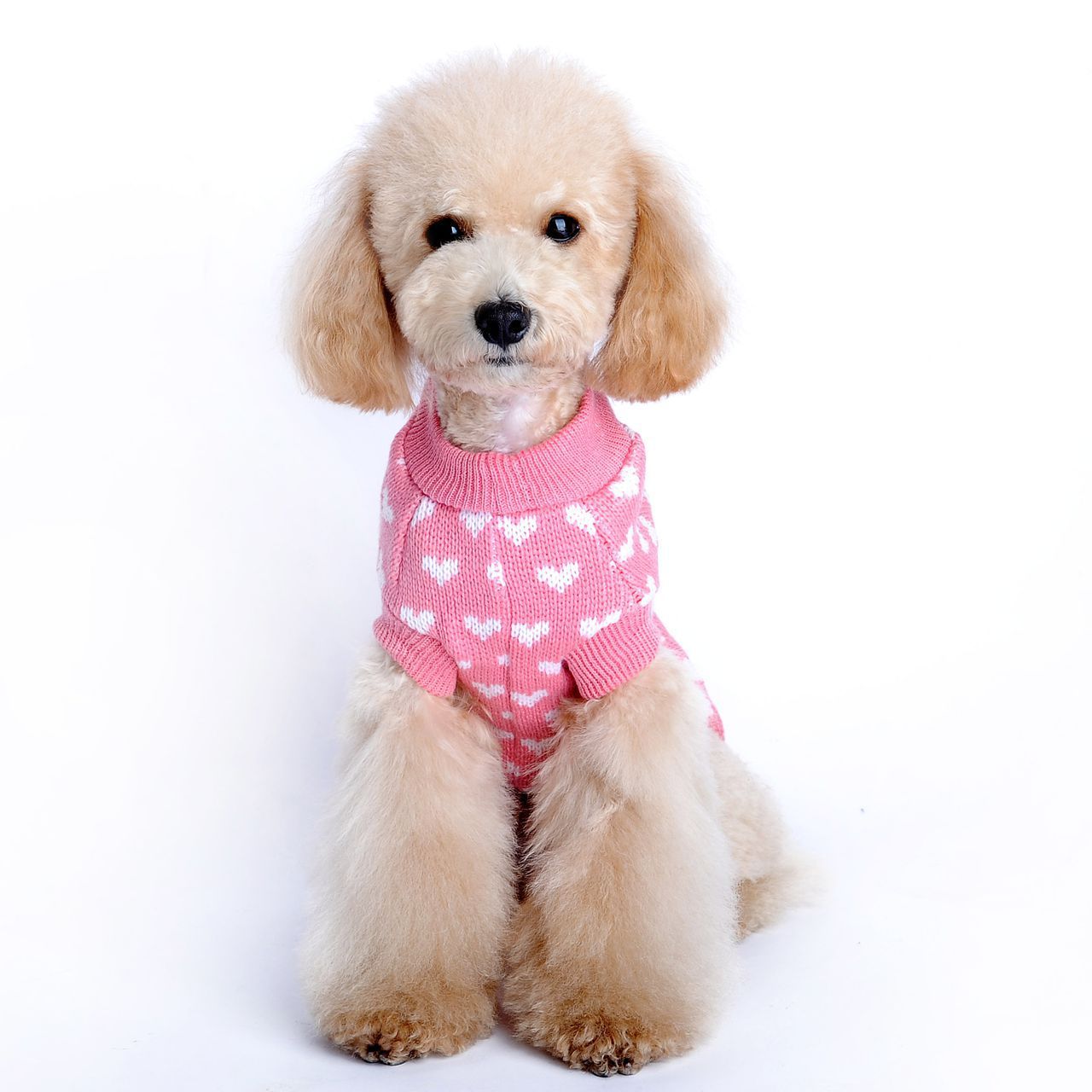 Heart Knit Pet Sweater