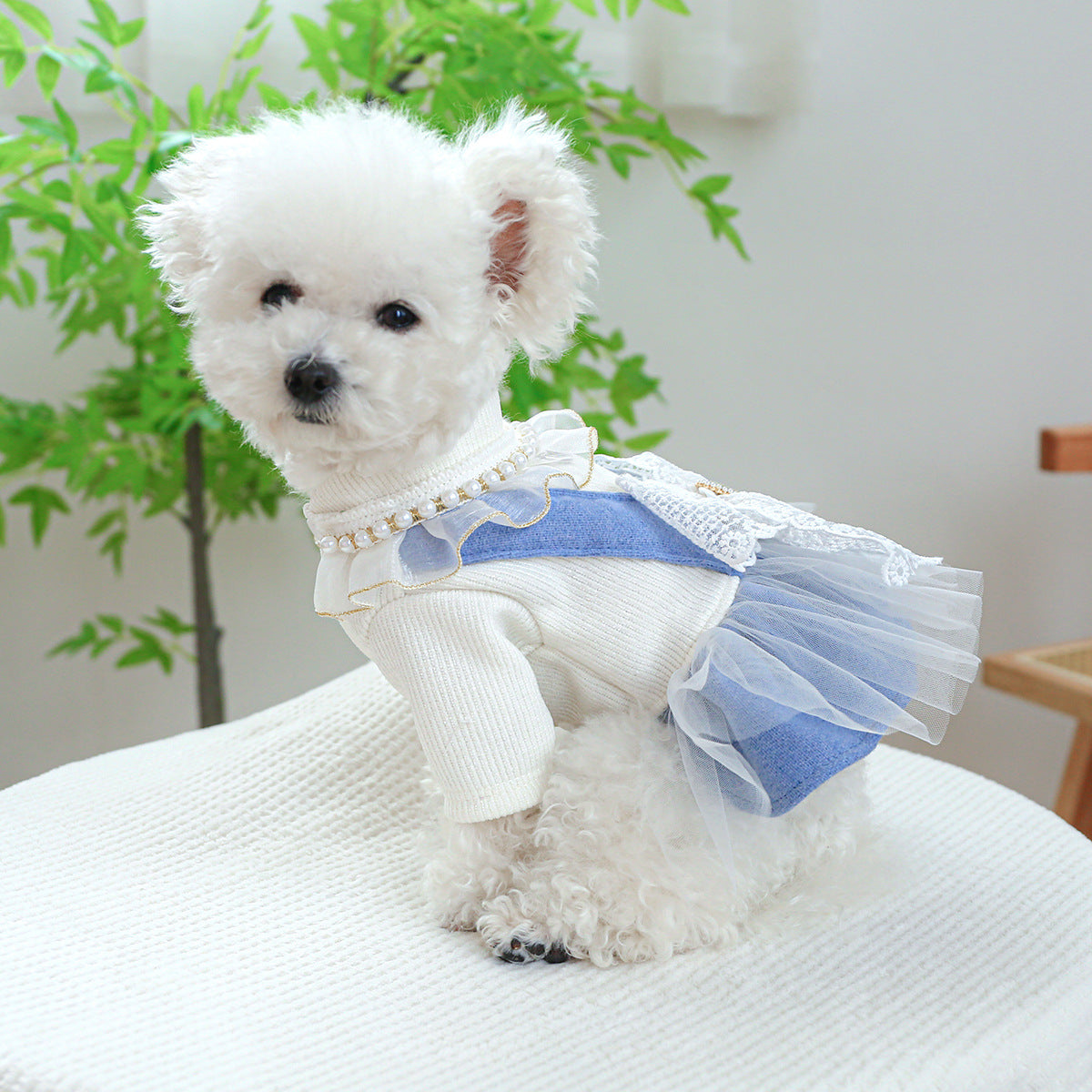 Complete Elegant Pearl & Lace Dog Outfit