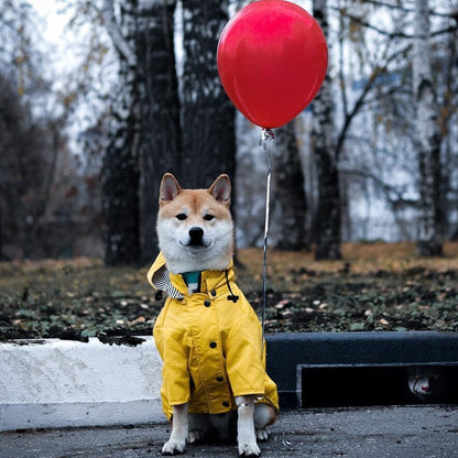 Yellow Raincoat with Hood