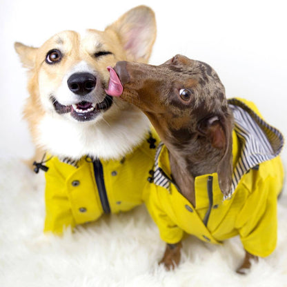 Yellow Raincoat with Hood