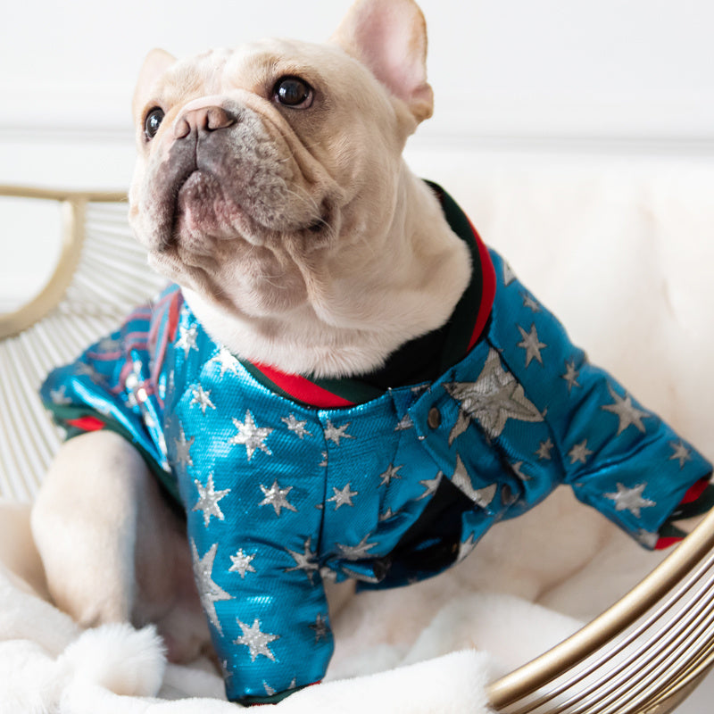 Starry Bomber Dog Jacket