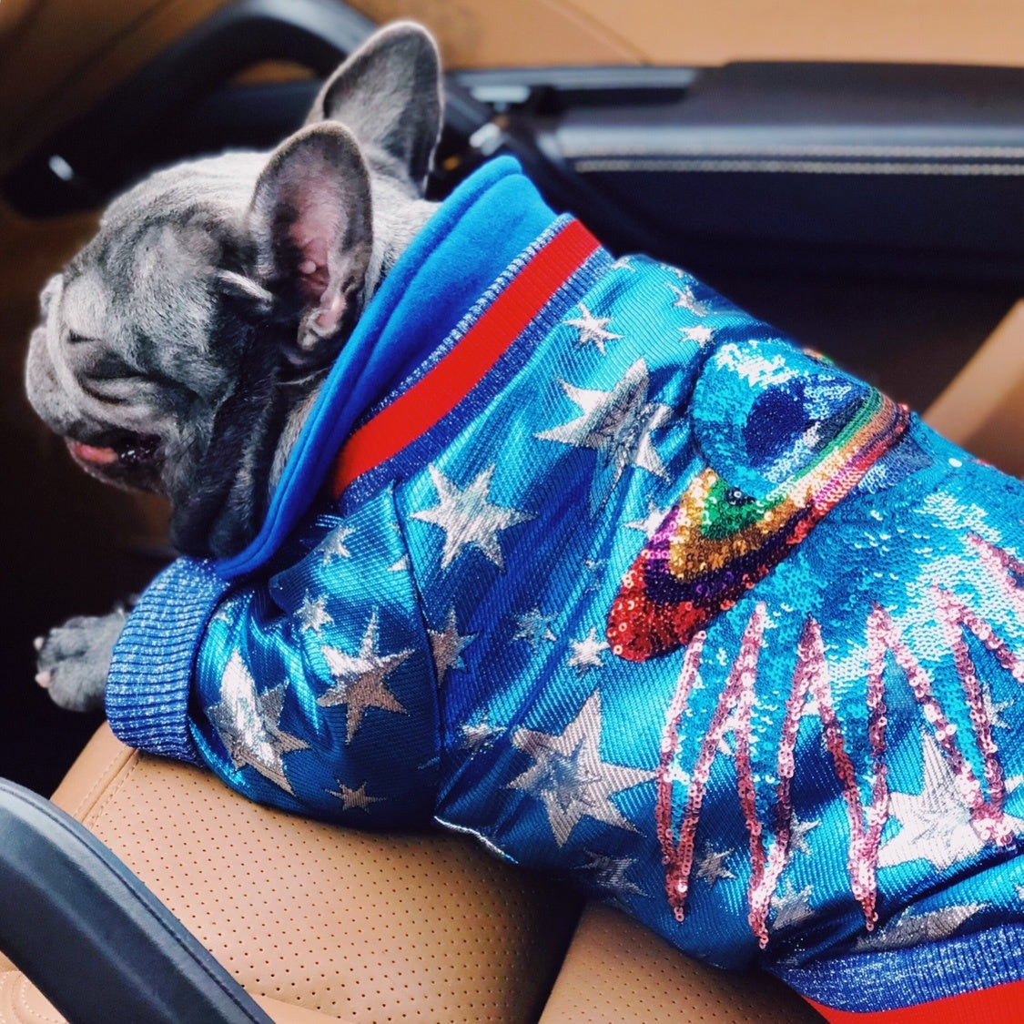 Starry Bomber Dog Jacket