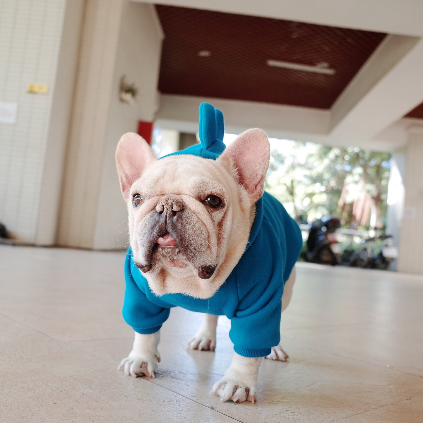 Dino Dog Hoodie