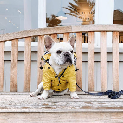 Yellow Raincoat with Hood