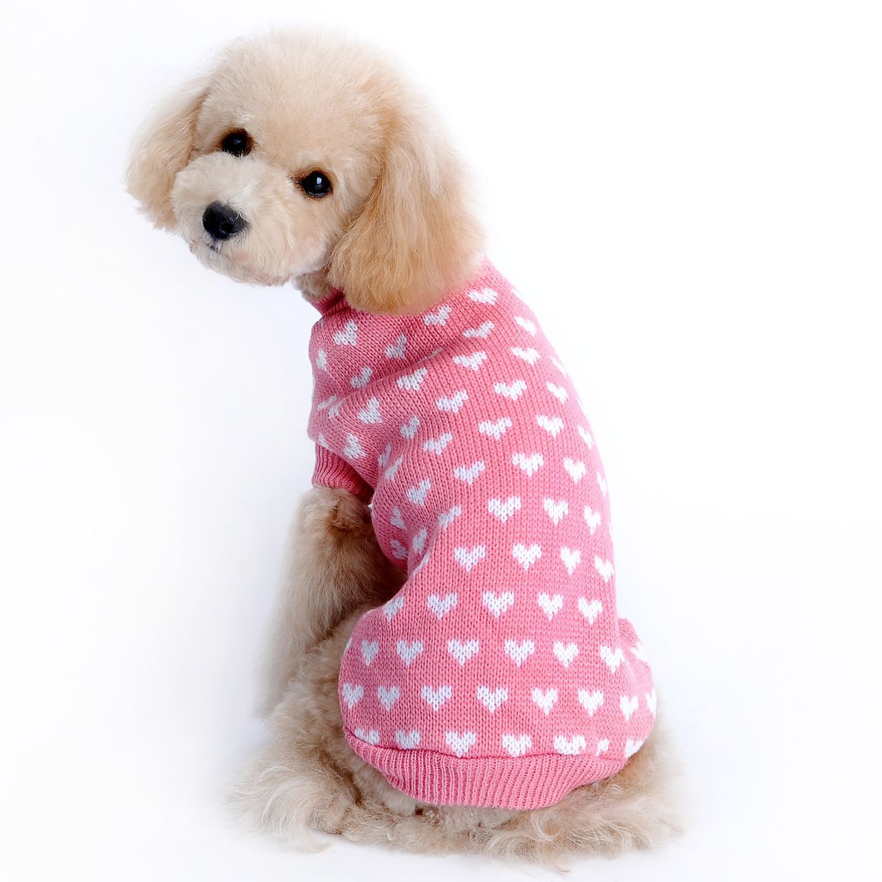 Heart Knit Pet Sweater