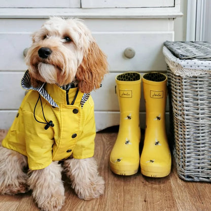 Yellow Raincoat with Hood