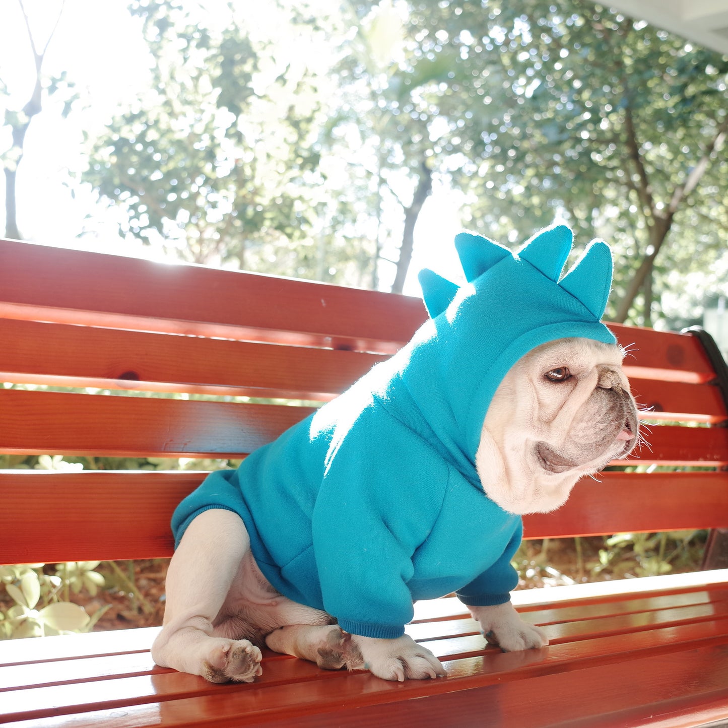 Dino Dog Hoodie