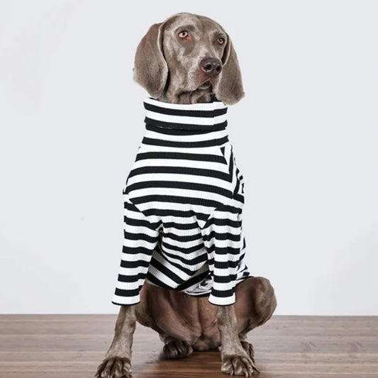 Classic Striped Dog Sweater