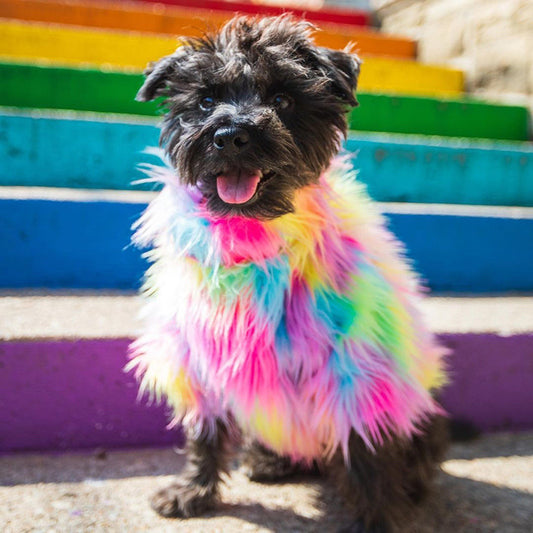 Rainbow Faux Fur Coat