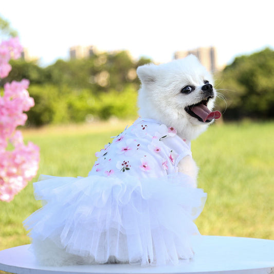 Floral Party Pet Dress